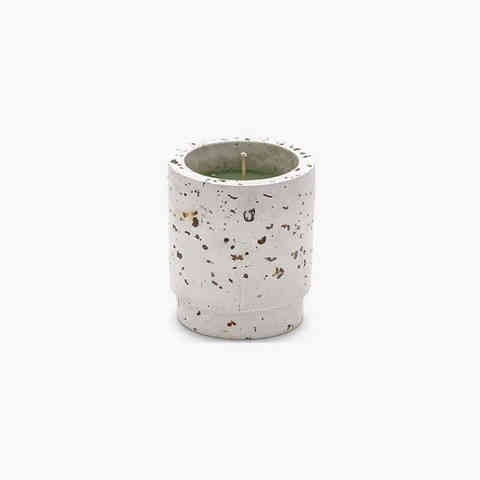 Class aptent taciti non, изображение 2