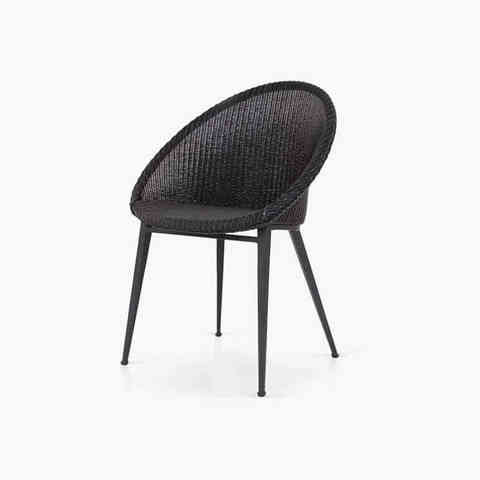 Class aptent taciti non, изображение 3