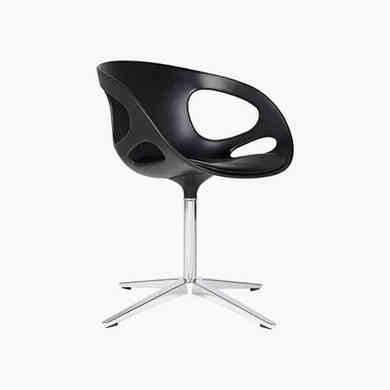 Class aptent taciti non, изображение 2