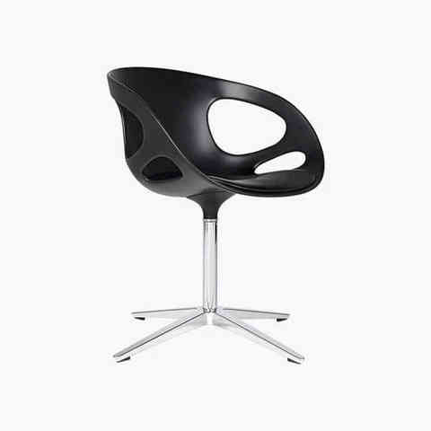 Кликните для увеличения изображения Class aptent taciti non, изображение 3